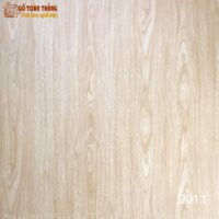 Sàn nhựa Galaxy Gold vân gỗ MSW-9011